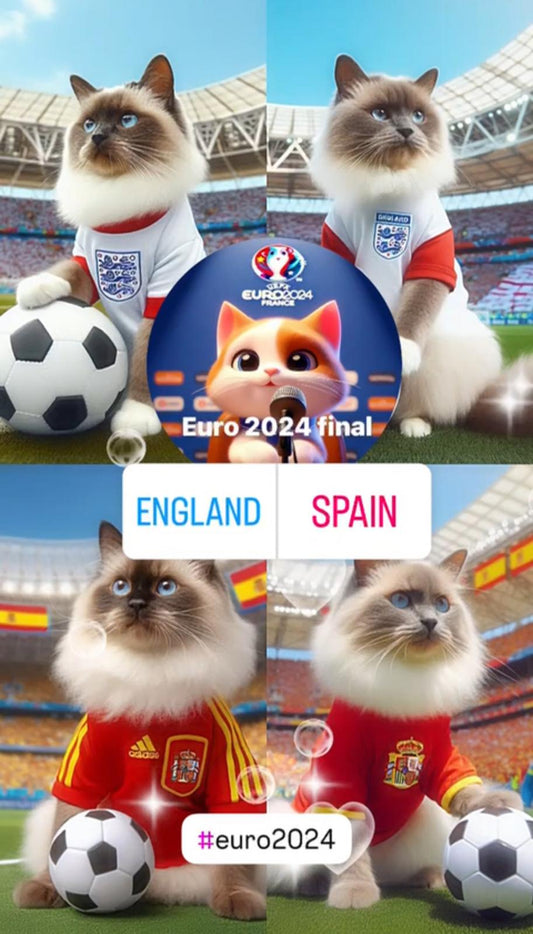 Euro 2024 Final: - England vs. Spain