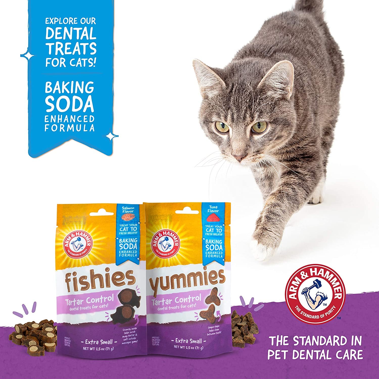  for Pets Cat Dental Care Cat Treats 