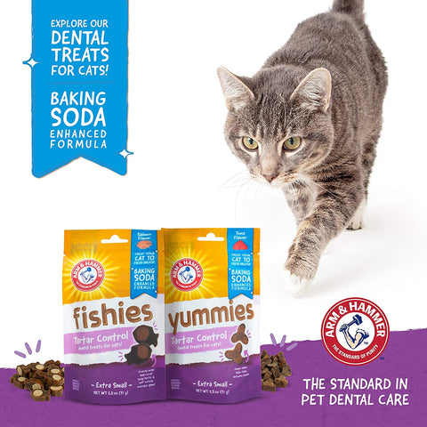  for Pets Cat Dental Care Cat Treats 