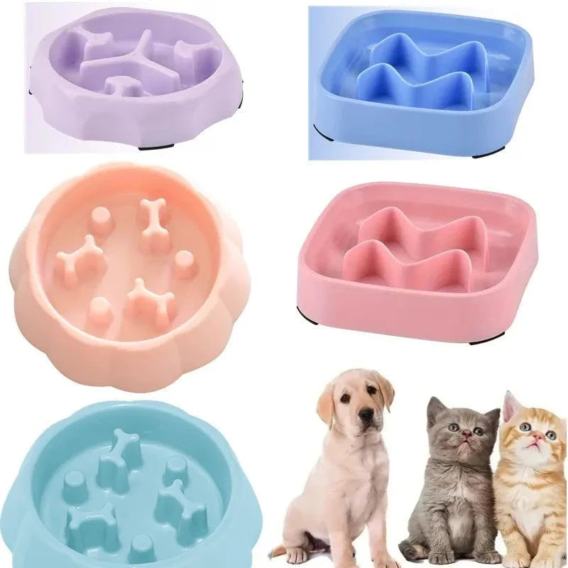 Pet supplies Color Slow Feeder Cat Bowl 