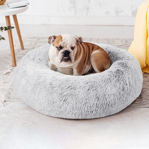 24In Cat Beds for Indoor Cats - Cat Bed with Machine Washable, Waterpr
DESIGN FEATURES: Love's cabin cat and dog beds feature nest-like walls filled with high-loft down alternative. The raised rim creates a sense of security and providMachine Washable, Waterproof Bottom - Grey Fluffy Dog