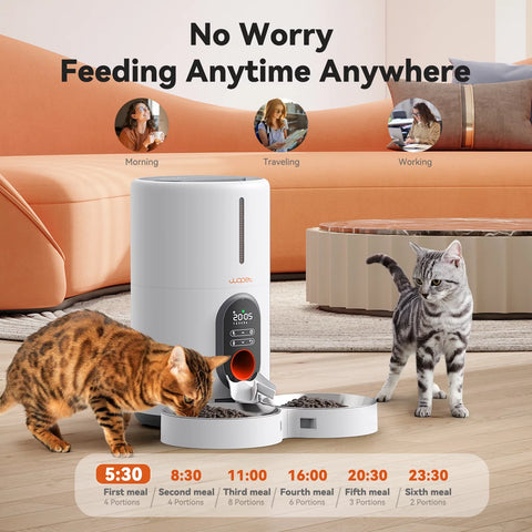 Automatic Cat Feeders for 2 Cats - Timed Dog Food Dispenser  