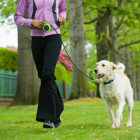   Automatic Retractable Dog Leash Pet Collar  