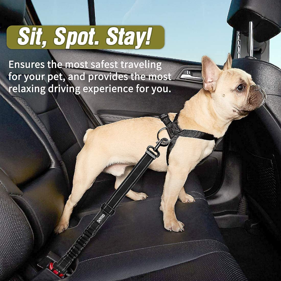 Dog Seat Belt,New 2-In-1 Multi-Functional Dog Car Seatbelts 2 Pack Pet
DOUBLE BUCKLES – We have thought of you and your pet beyond the car. Along with the standard car seat buckle, it also comes fitted with another latch based hook thaDog Seat Belt,