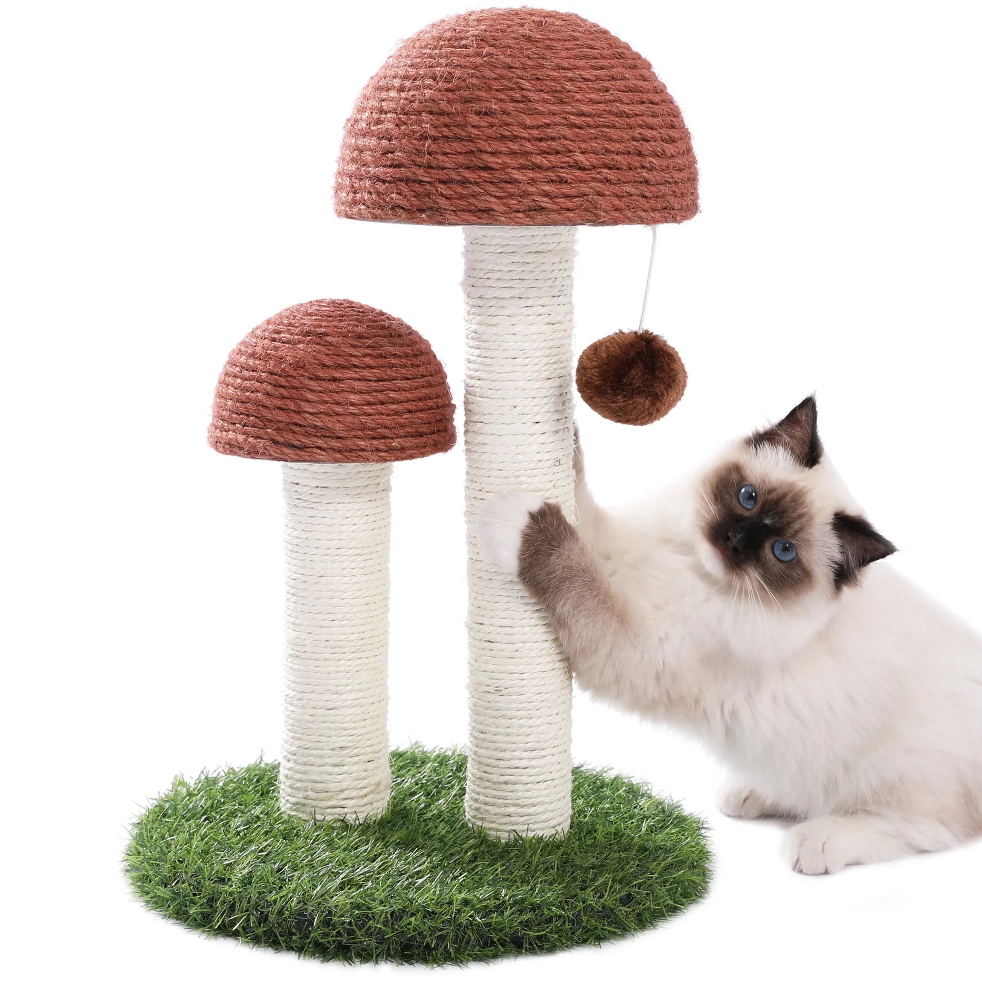 2 Mushrooms Cat Scratching Post 19" Sisal Claw Scratcher for Kittens a
 A cute mushroom-shaped scratcher, a cat scratching post toy and a home decor. 2 Sisal covered scratching posts in different heights would satisfy cats' different spets2 Mushrooms Cat Scratching Post 19" Sisal Claw Scratcher