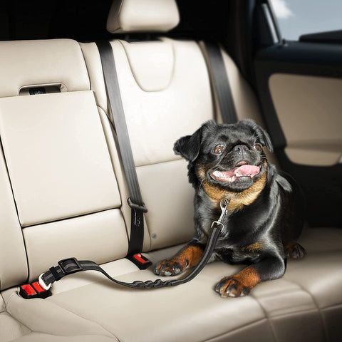 Seat Belt for Dogs with Elastic Bungee Buffer | Car Travel Accessories Dog car seat belt helps comfortably restrain your pets in the front seat or back seat of a car. Adjustable pet seat leash leads for dogs/cats: the length of strap cDogs Adjustible, Elastic (Black)